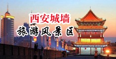 口交13p中国陕西-西安城墙旅游风景区